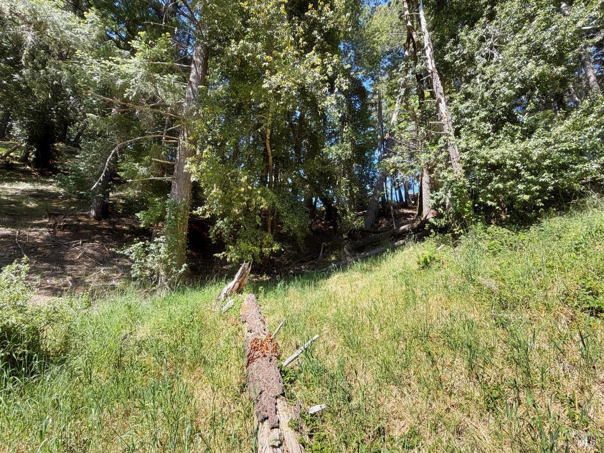 1494 Hulett Place Willits CA 95490