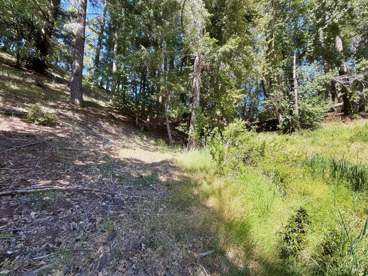 1494 Hulett Place Willits CA 95490