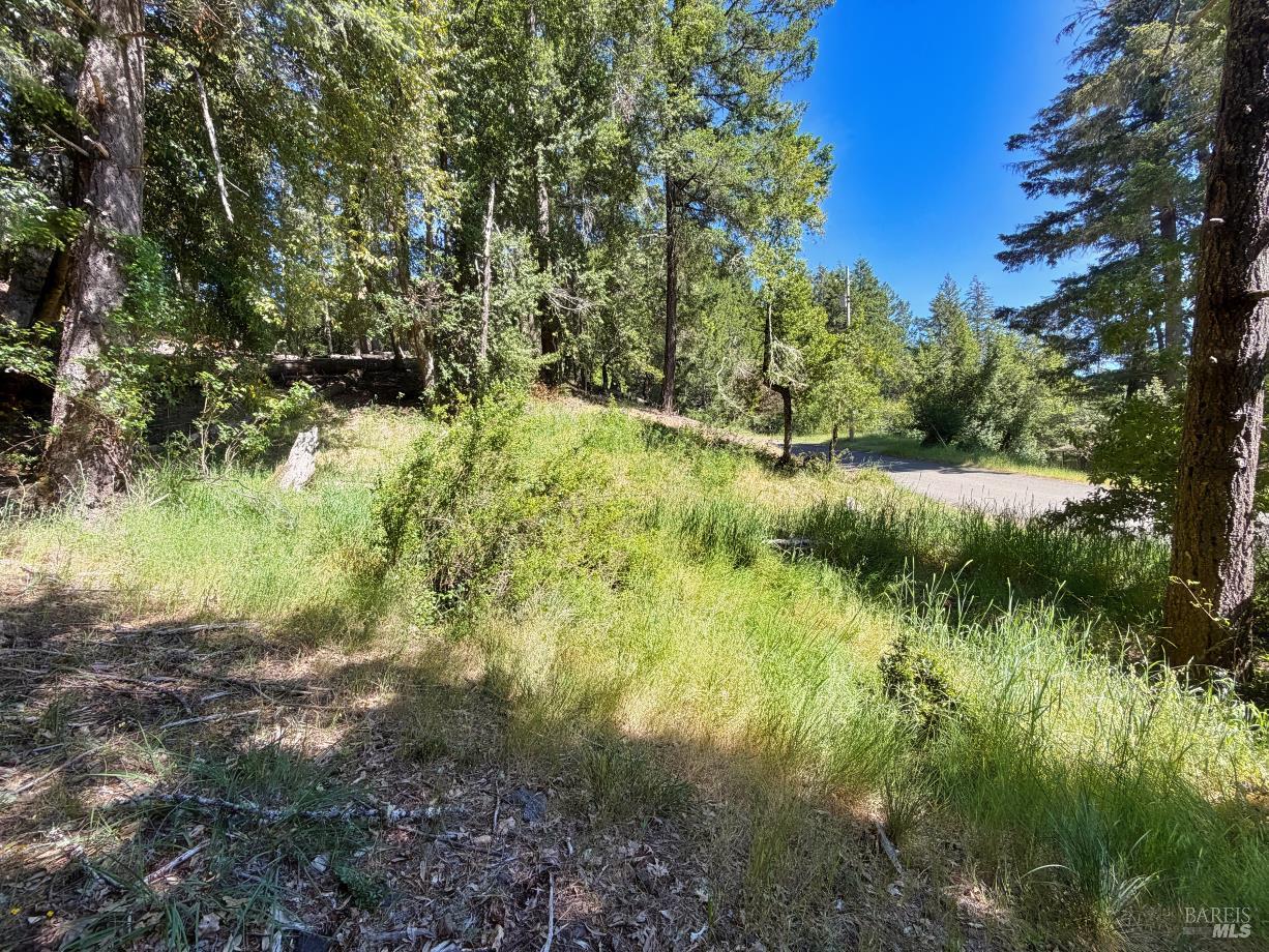1494 Hulett Place Willits CA 95490