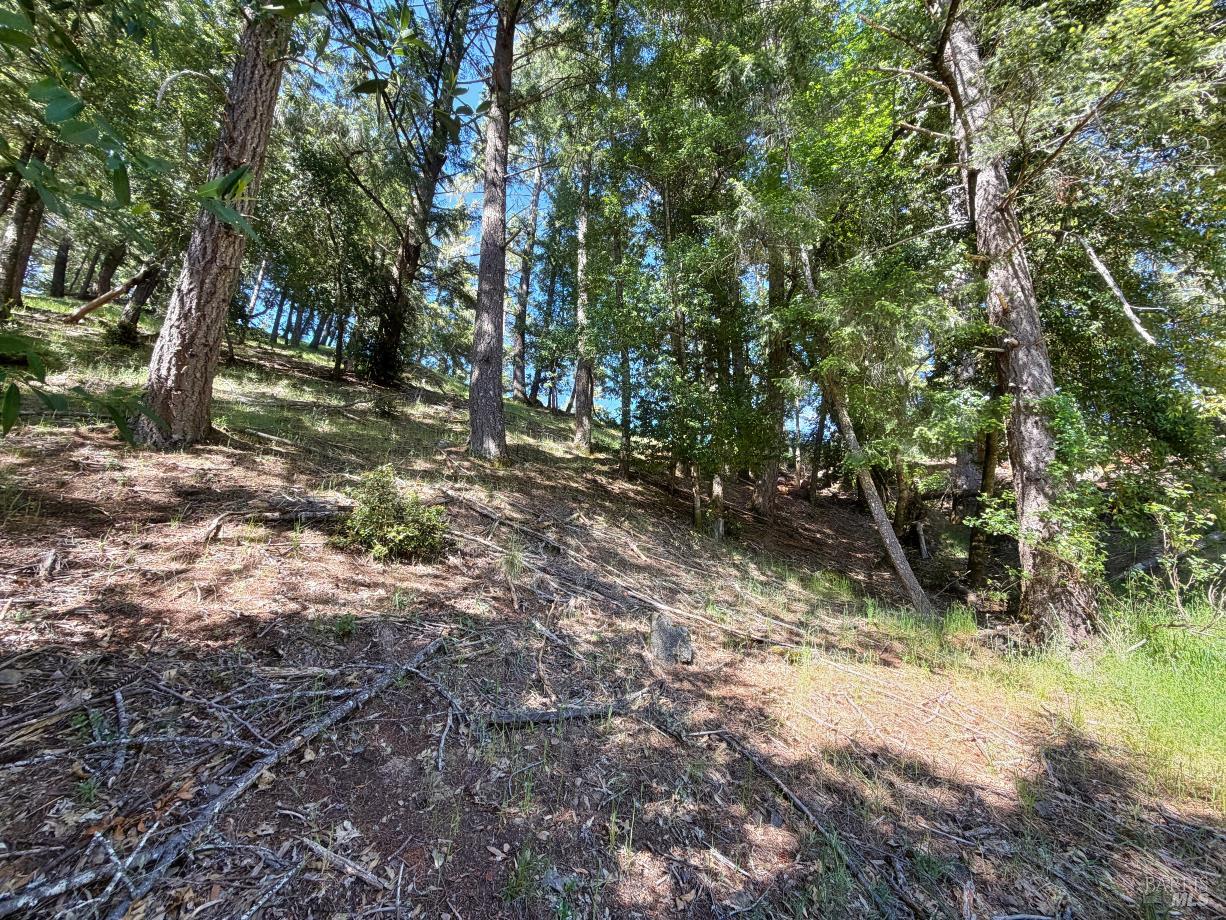 1494 Hulett Place Willits CA 95490