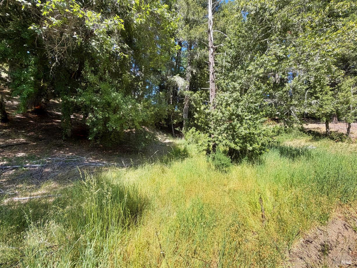 1494 Hulett Place Willits CA 95490