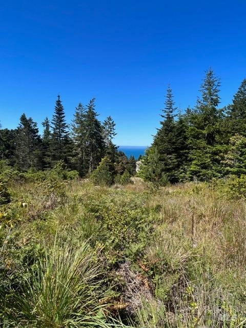 36018 Sea Ridge Road The Sea Ranch CA 95497
