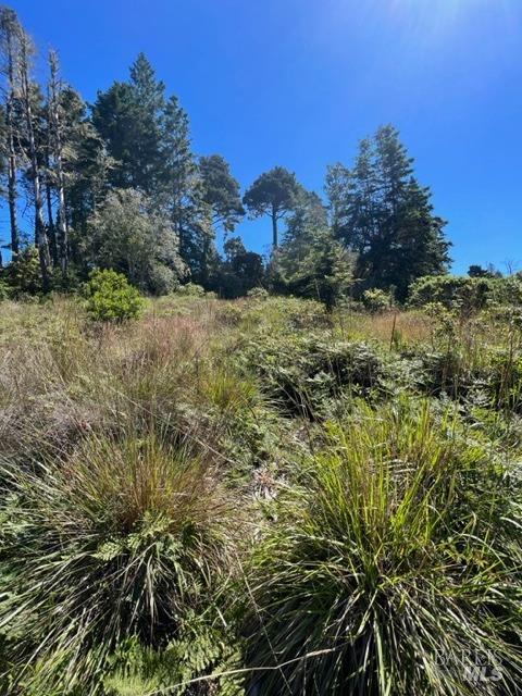 36018 Sea Ridge Road The Sea Ranch CA 95497