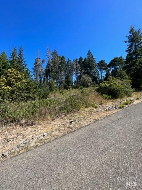 36018 Sea Ridge Road The Sea Ranch CA 95497