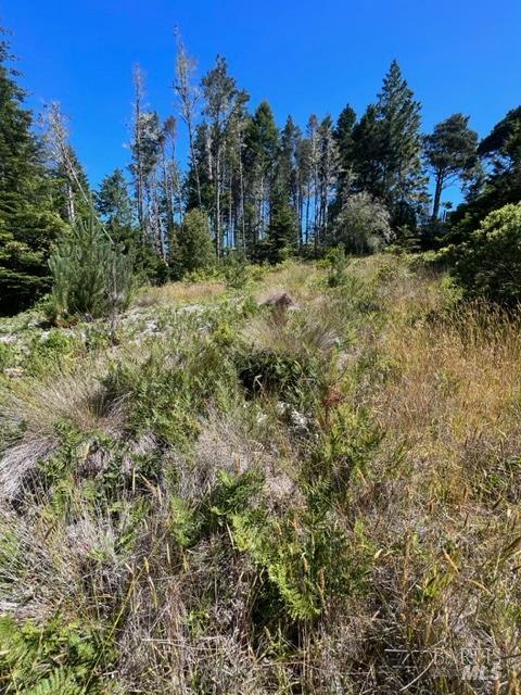 36018 Sea Ridge Road The Sea Ranch CA 95497