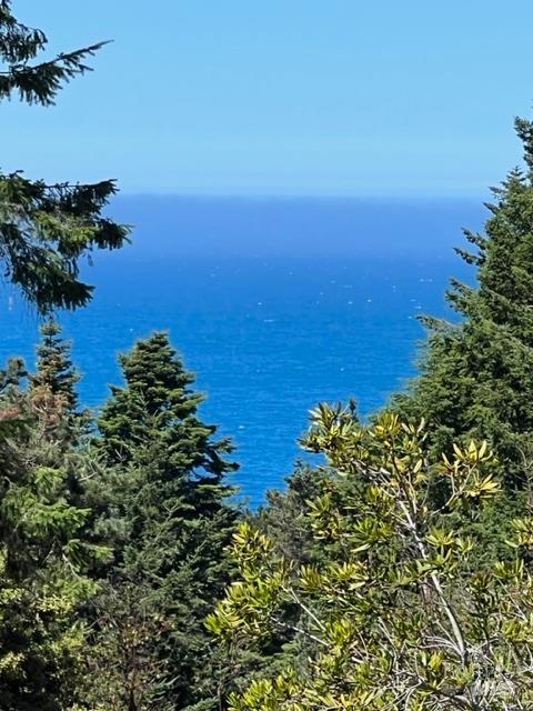 36018 Sea Ridge Road The Sea Ranch CA 95497