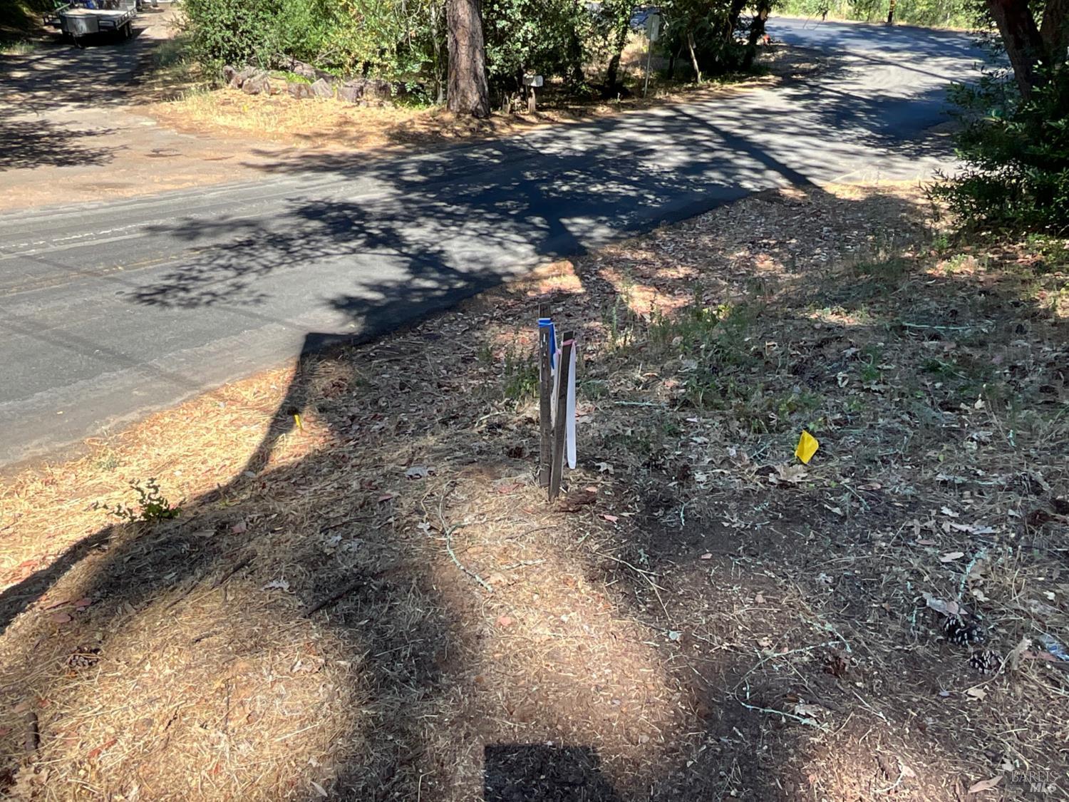 475 Sunset Drive Angwin CA 94508