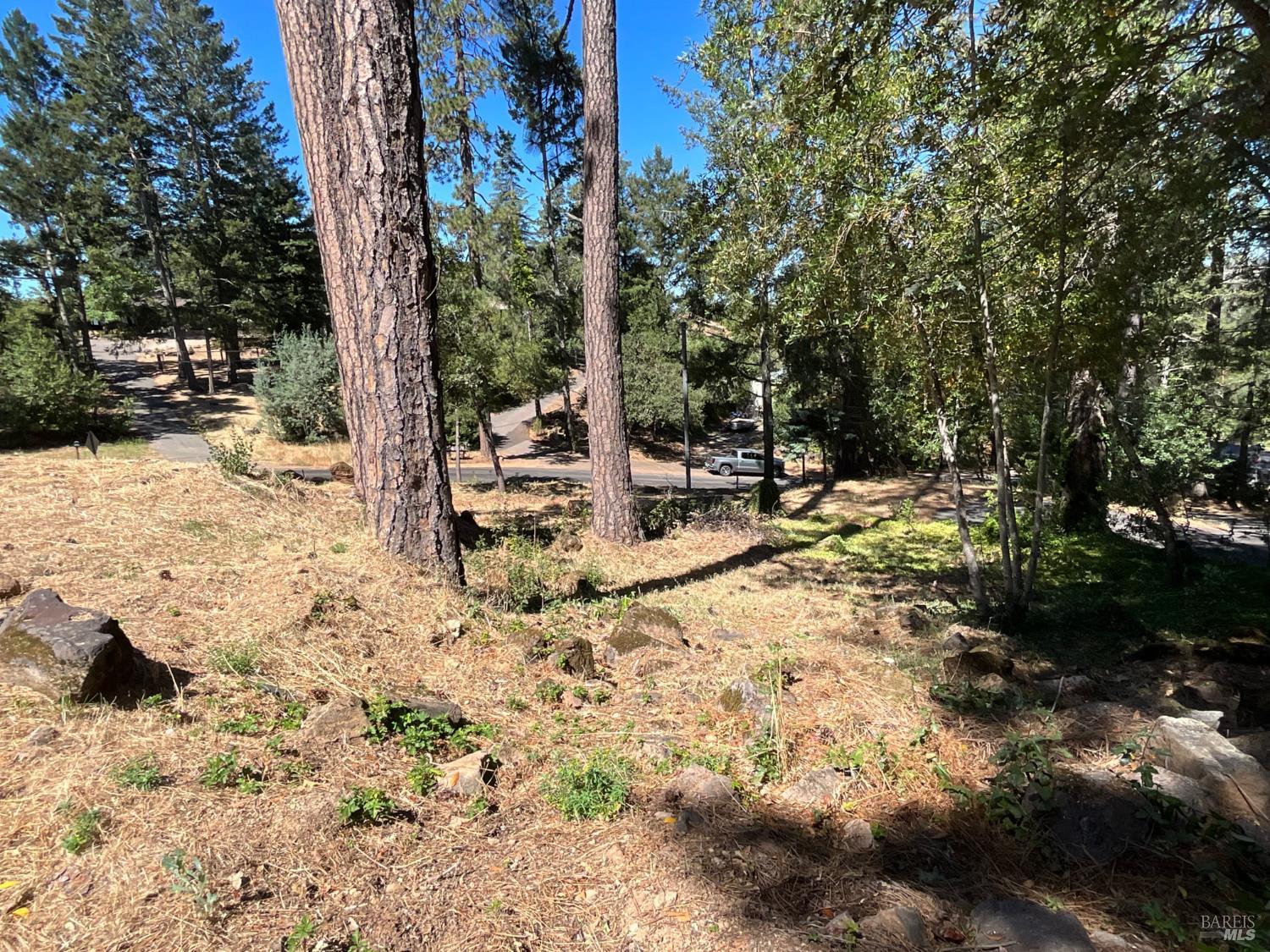 475 Sunset Drive Angwin CA 94508