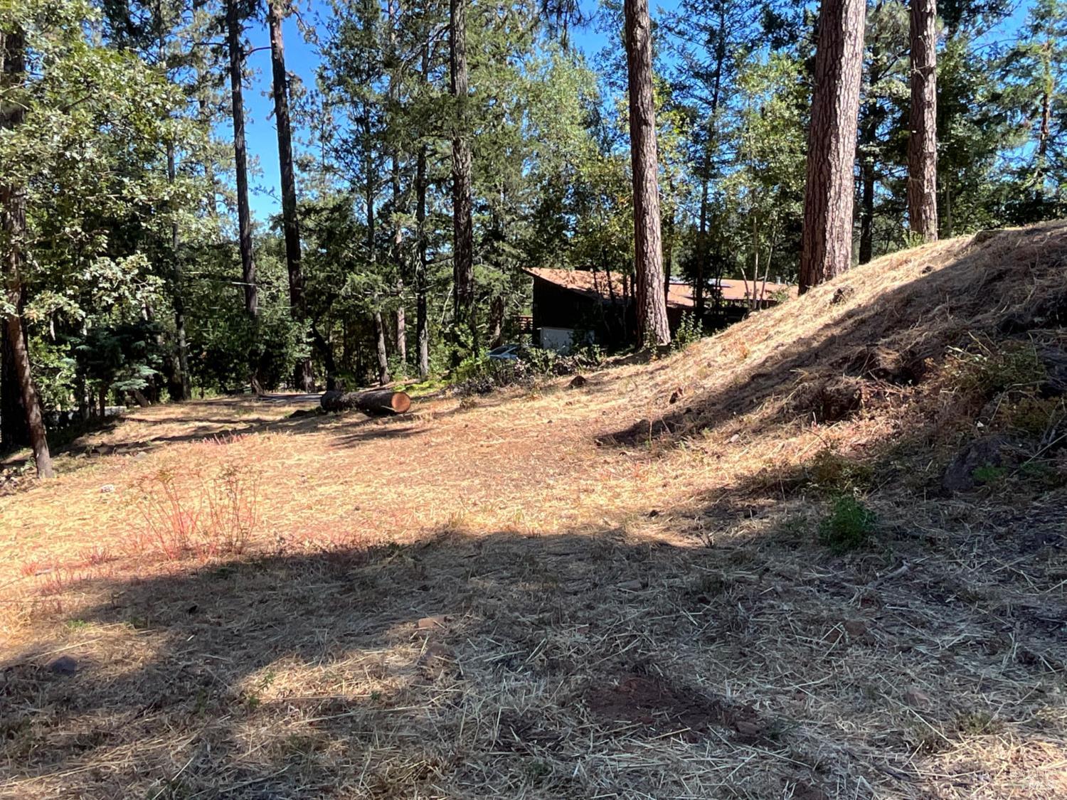 475 Sunset Drive Angwin CA 94508
