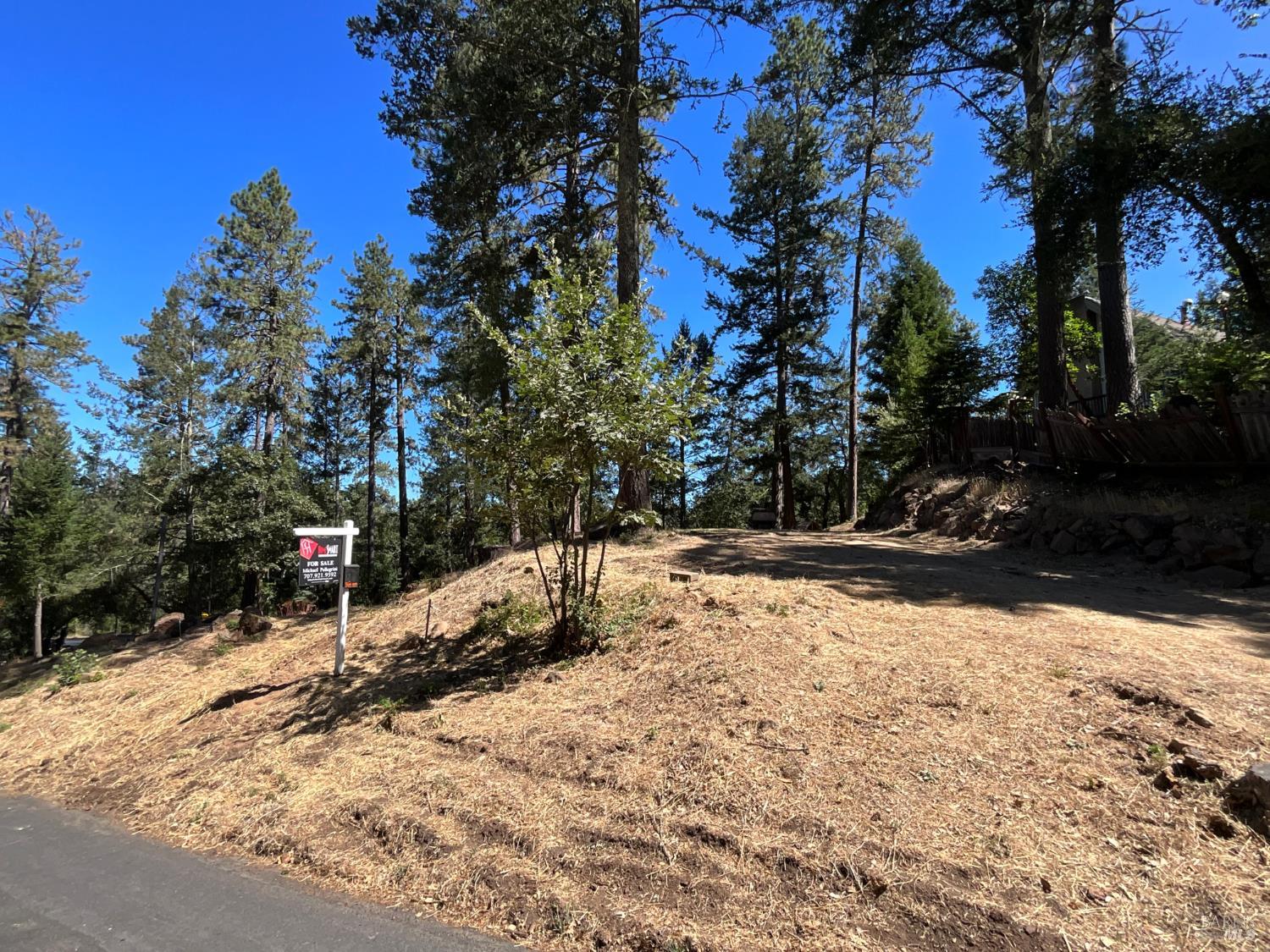 475 Sunset Drive Angwin CA 94508