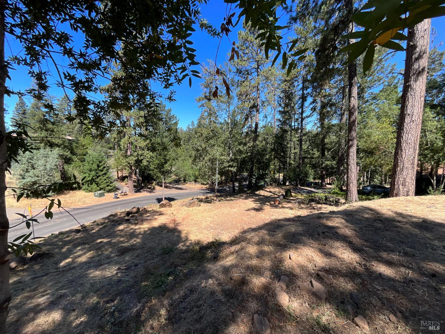 475 Sunset Drive Angwin CA 94508