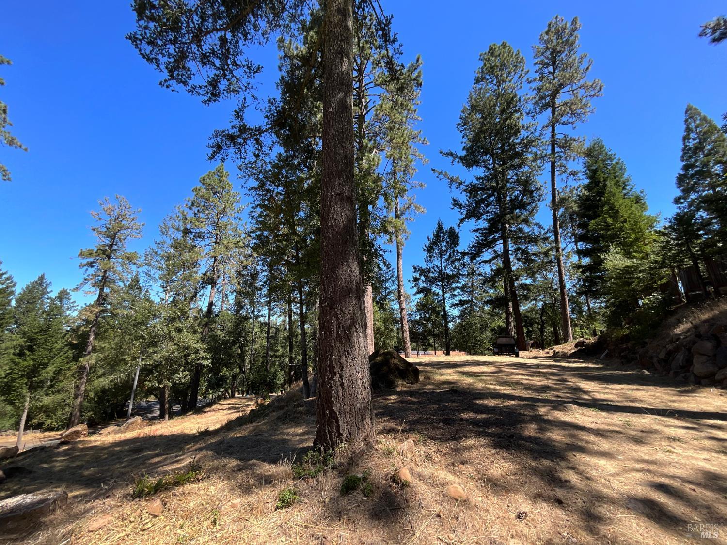 475 Sunset Drive Angwin CA 94508