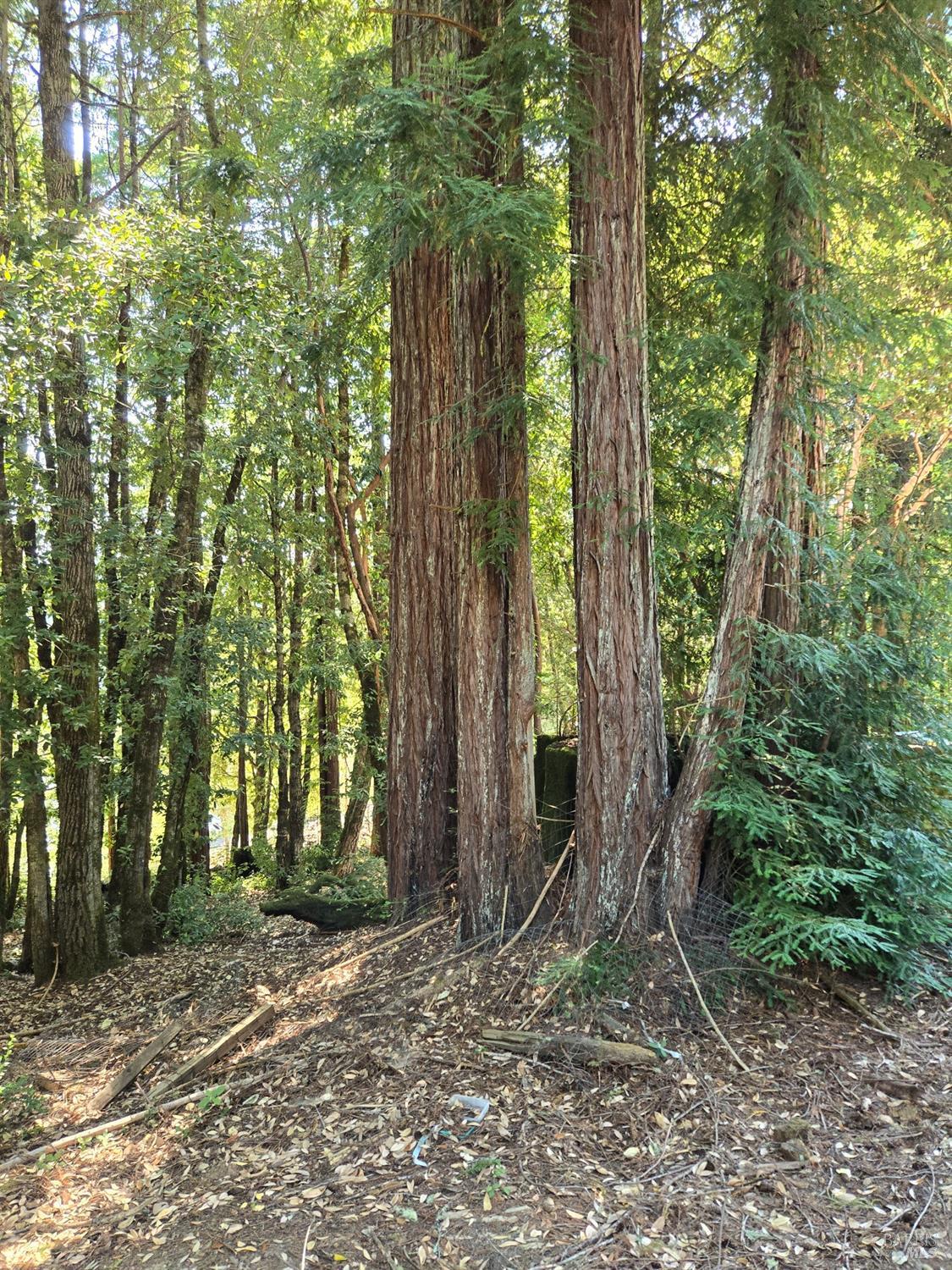 24521 Lilac Drive Willits CA 95490