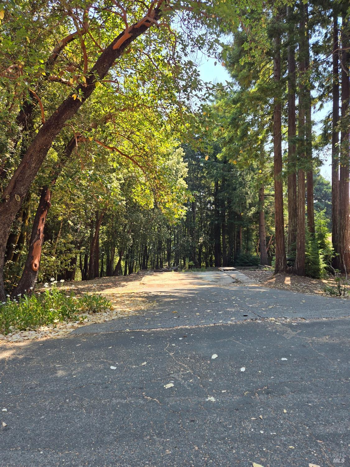 24521 Lilac Drive Willits CA 95490