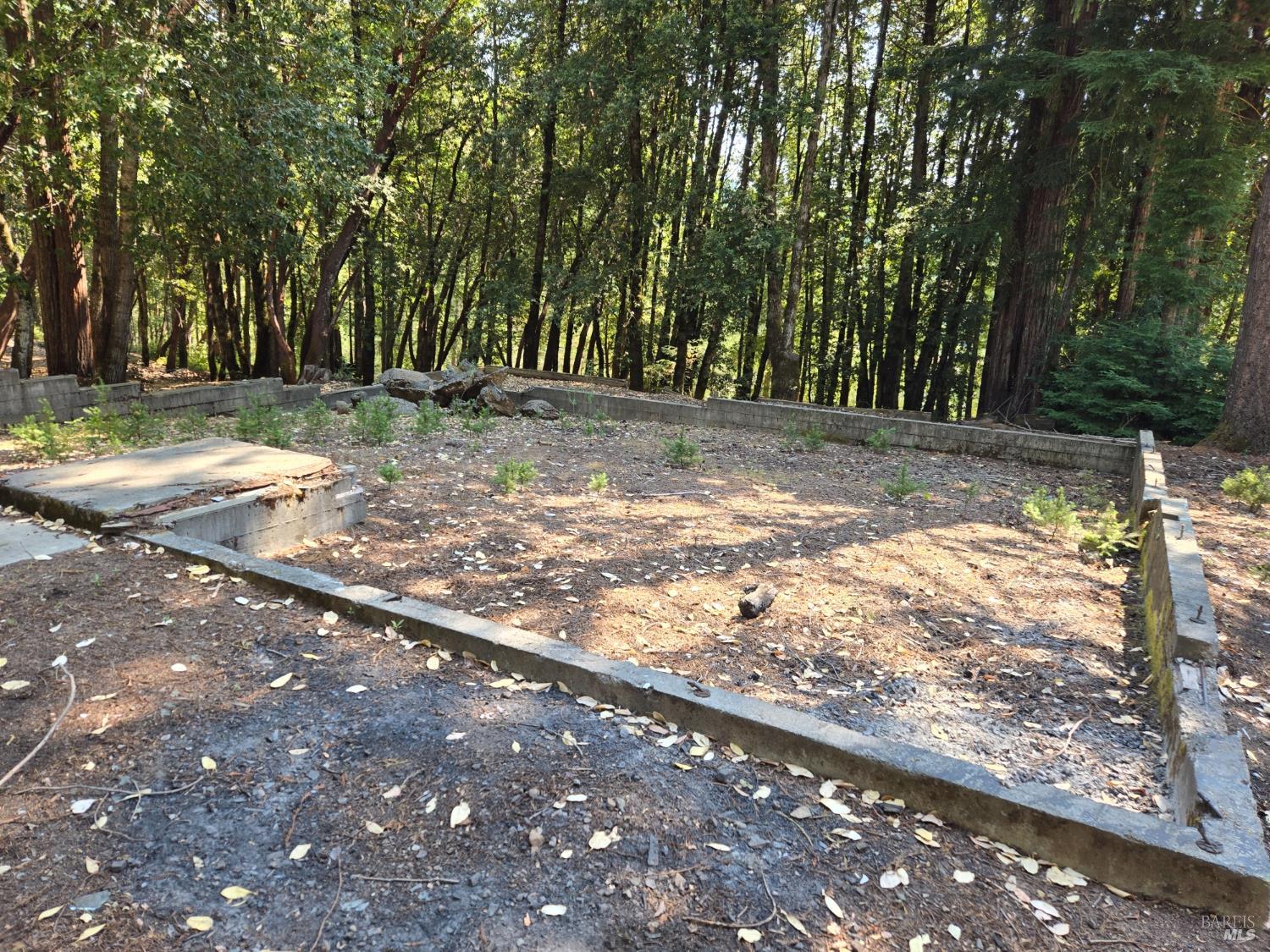 24521 Lilac Drive Willits CA 95490