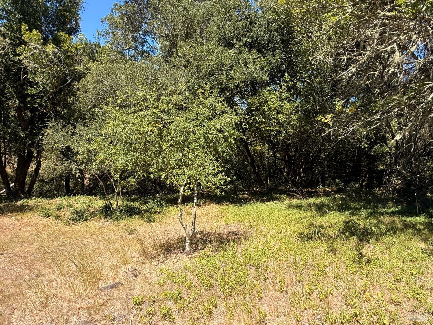 4569 Sonoma Mountain Road Santa Rosa CA 95404