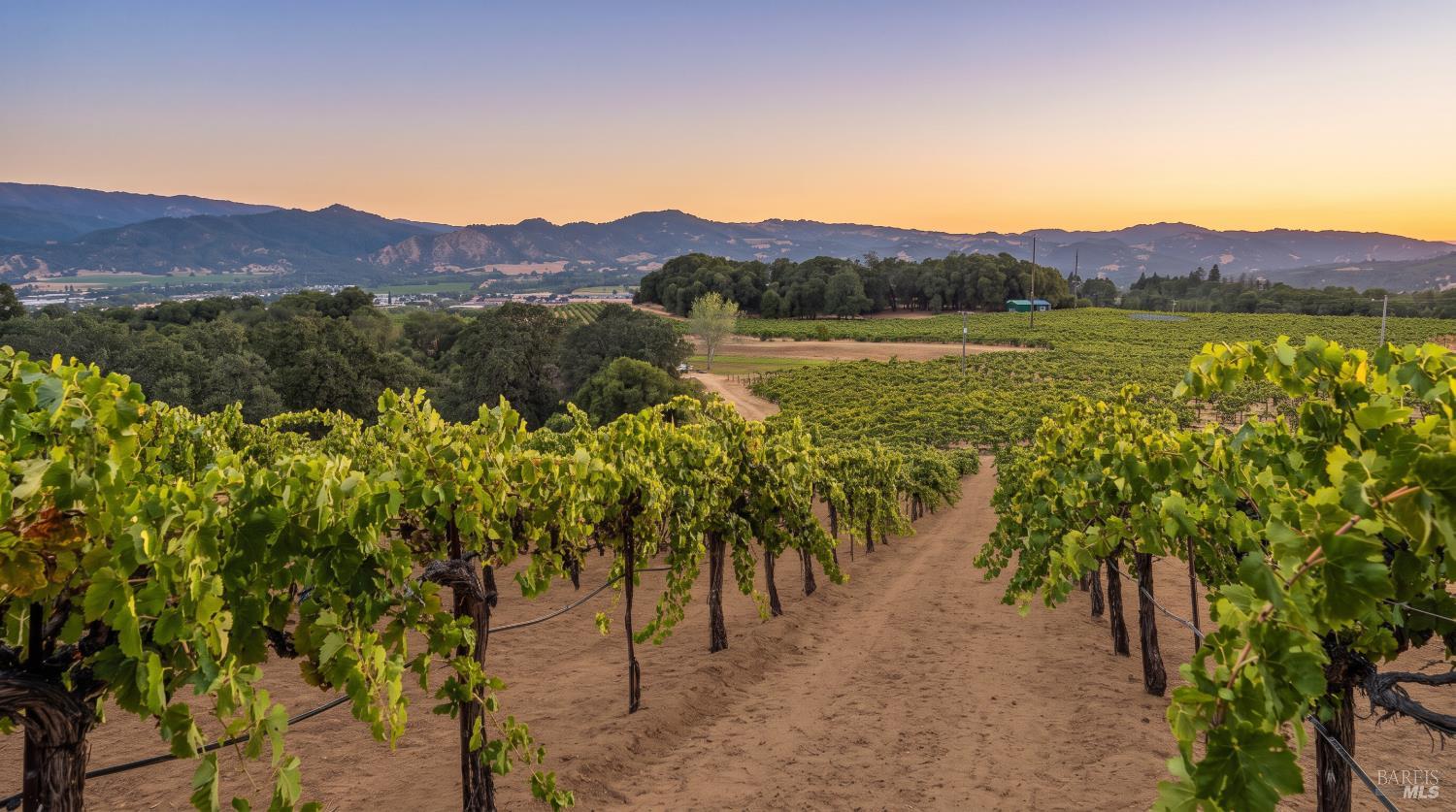 1495 Rafello Drive Ukiah CA 95482