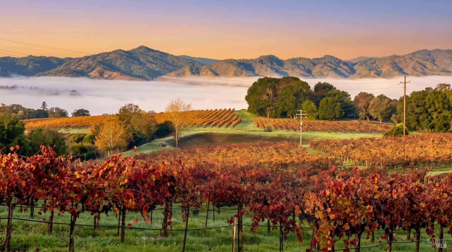 1495 Rafello Drive Ukiah CA 95482