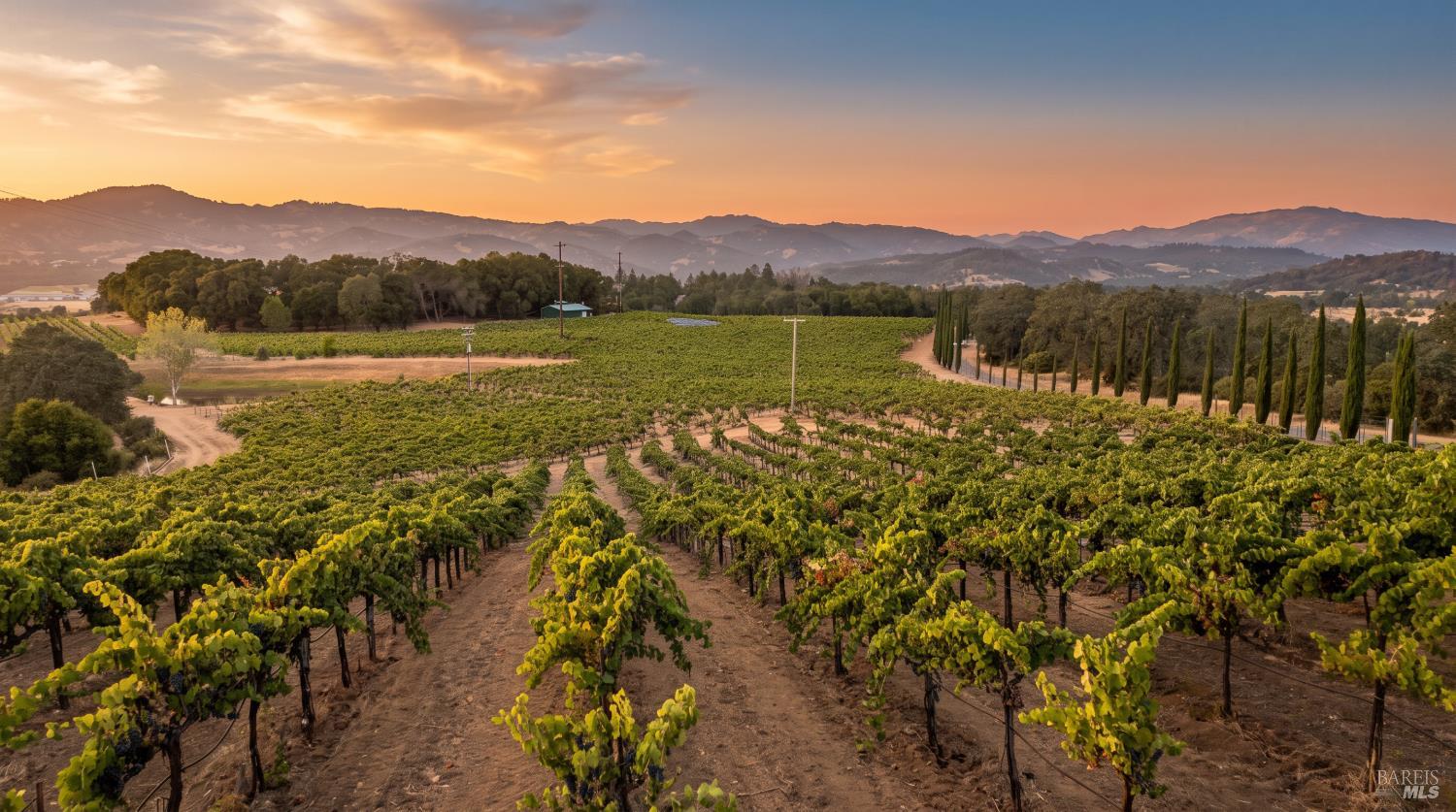 1495 Rafello Drive Ukiah CA 95482