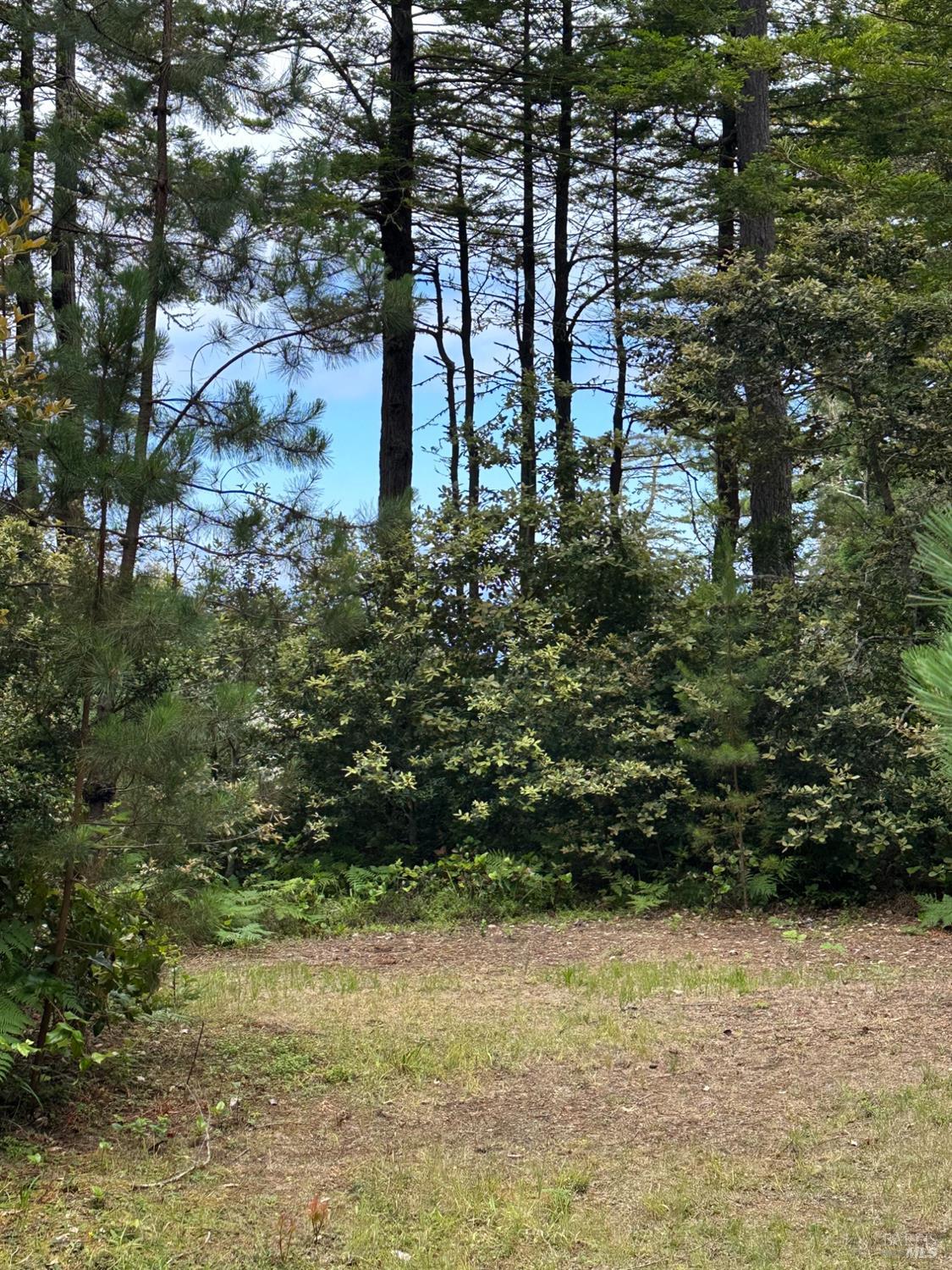 35261 Windsong Lane The Sea Ranch CA 95497