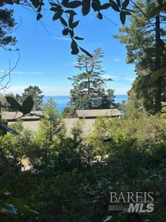 35261 Windsong Lane The Sea Ranch CA 95497