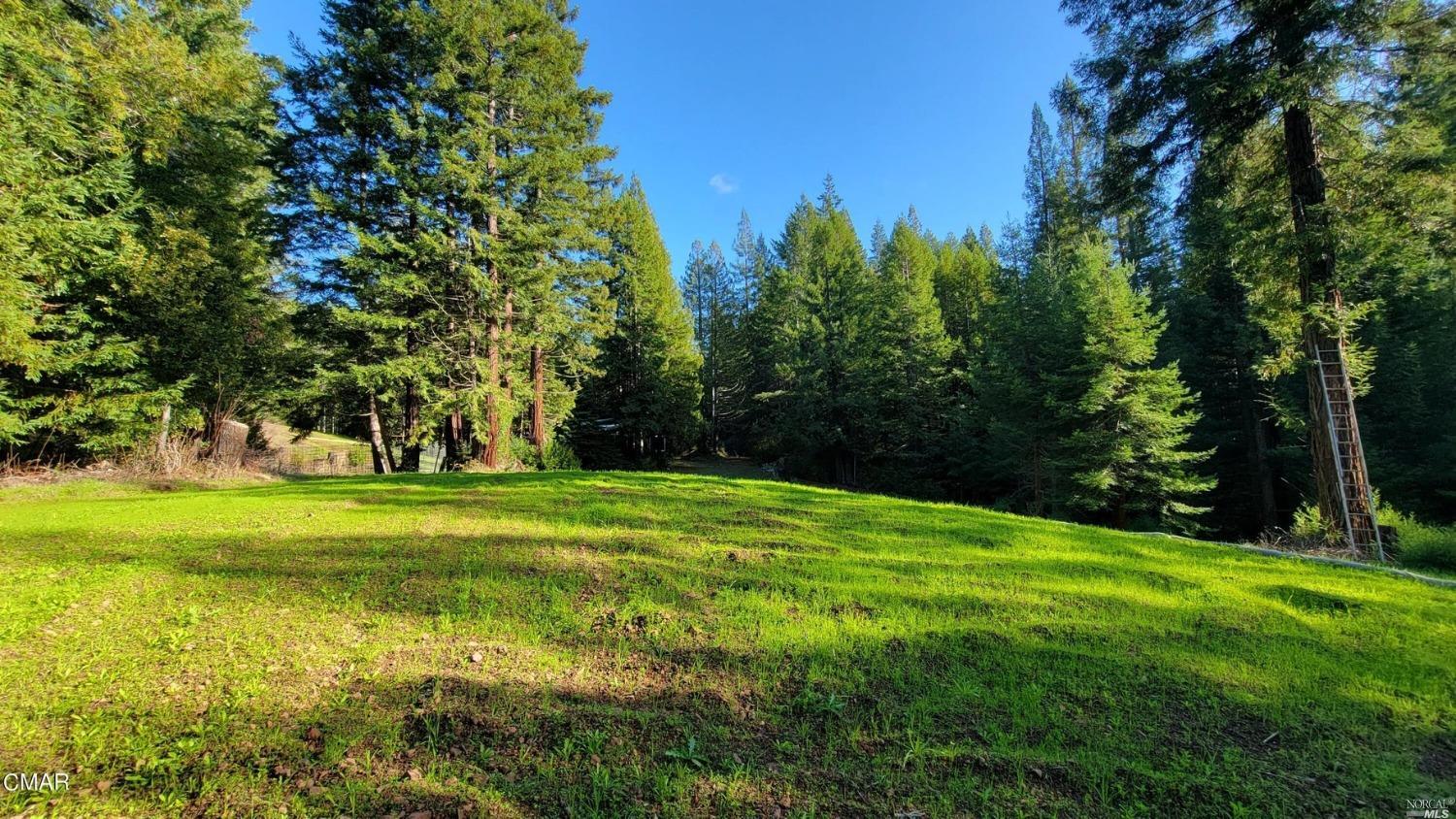 26030 Comptche Ukiah Road Comptche CA 95427