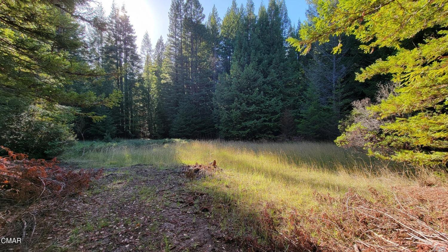 26030 Comptche Ukiah Road Comptche CA 95427