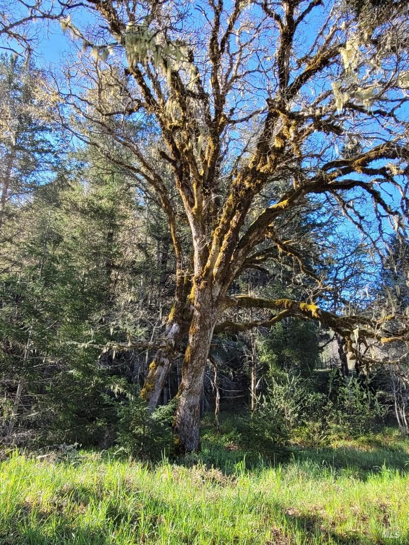 0 Muir Mill Road Willits CA 95490