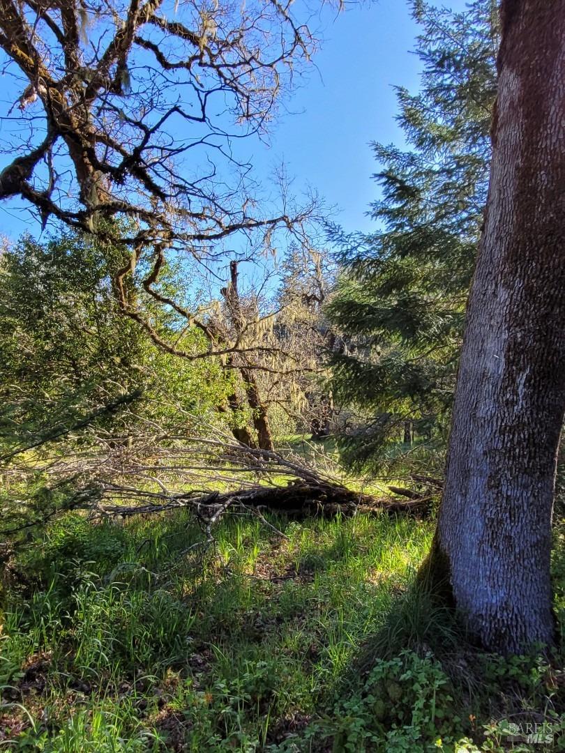 0 Muir Mill Road Willits CA 95490