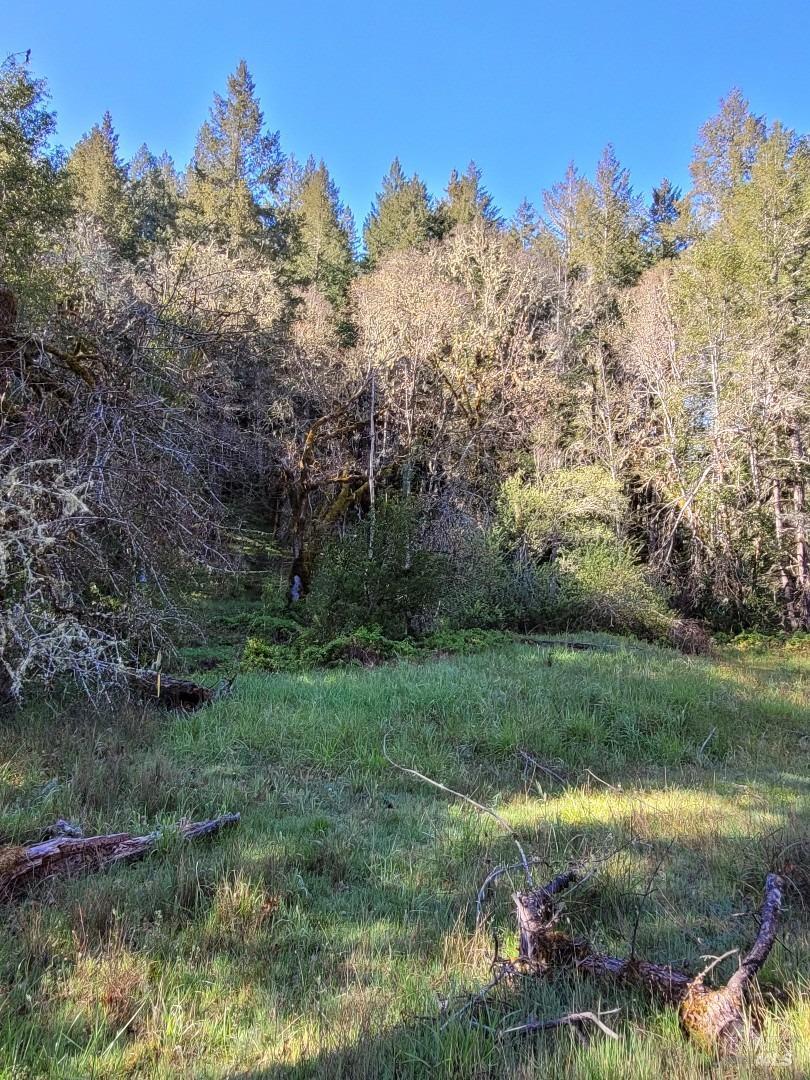 0 Muir Mill Road Willits CA 95490