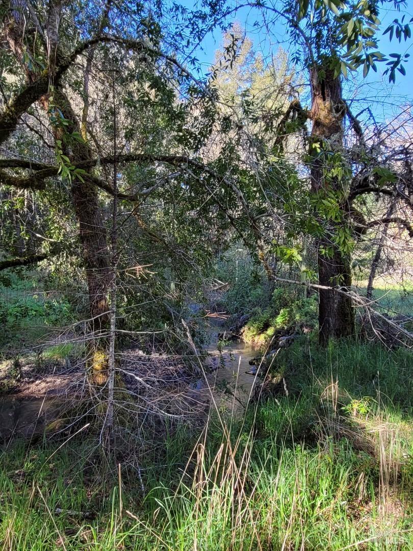 0 Muir Mill Road Willits CA 95490