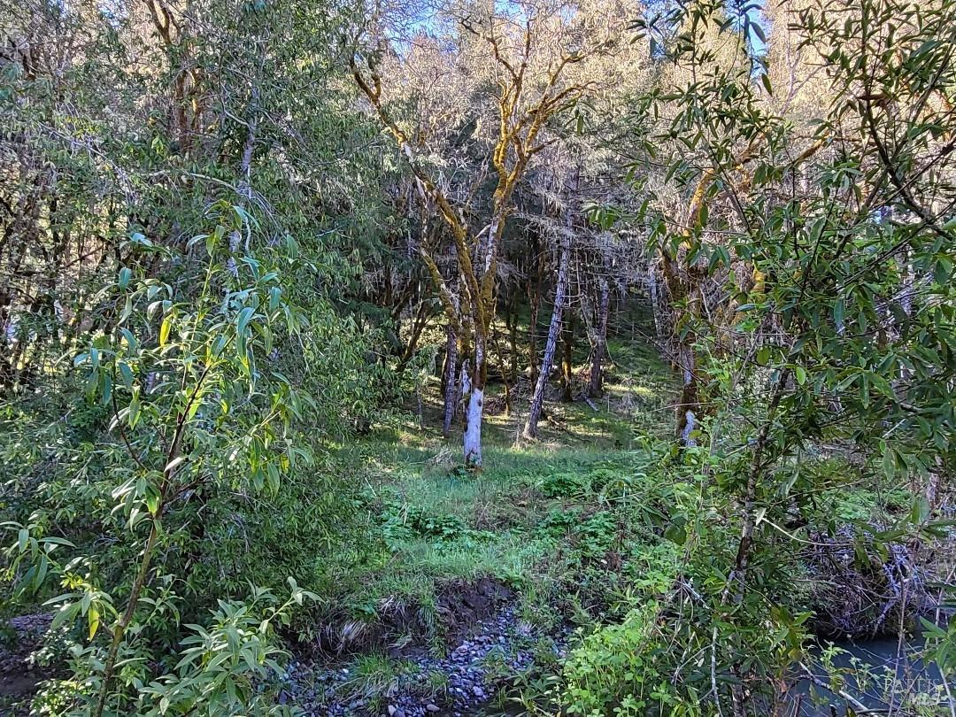 0 Muir Mill Road Willits CA 95490