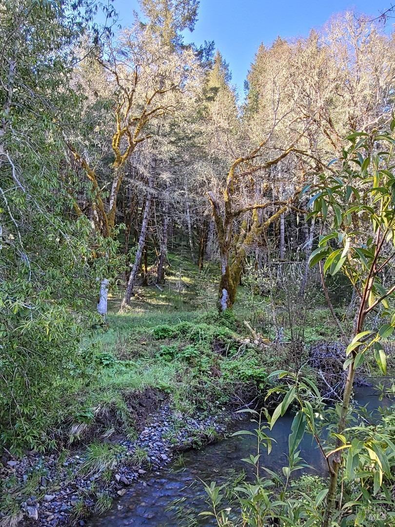 0 Muir Mill Road Willits CA 95490
