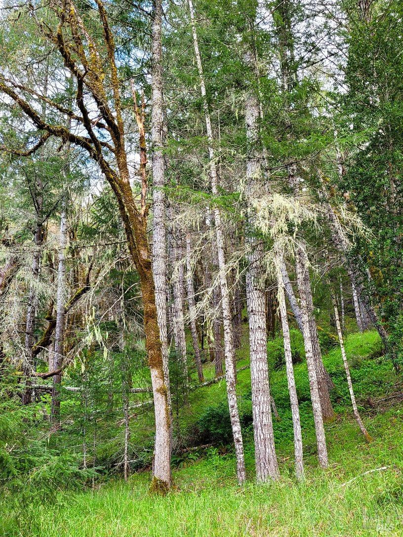 0 Muir Mill Road Willits CA 95490