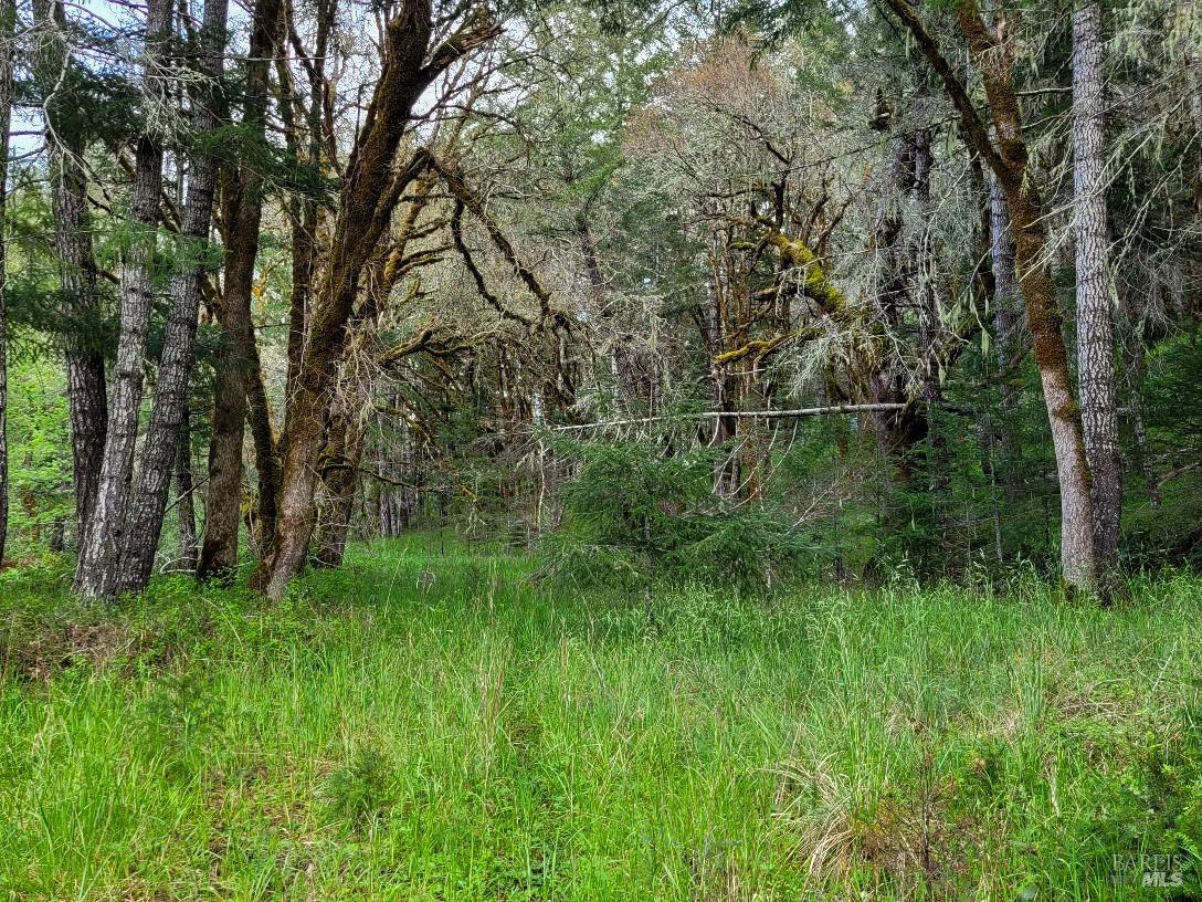 0 Muir Mill Road Willits CA 95490