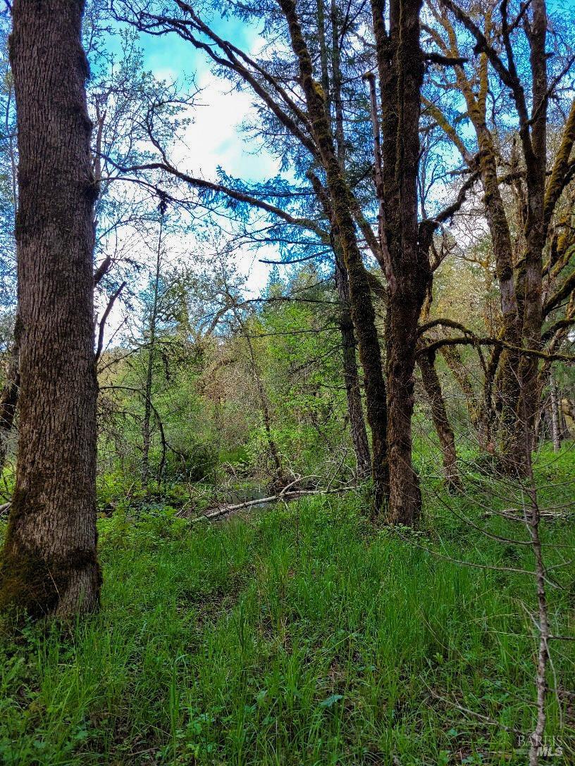 0 Muir Mill Road Willits CA 95490