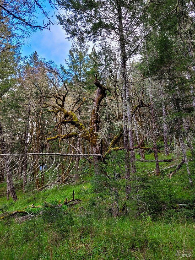 0 Muir Mill Road Willits CA 95490