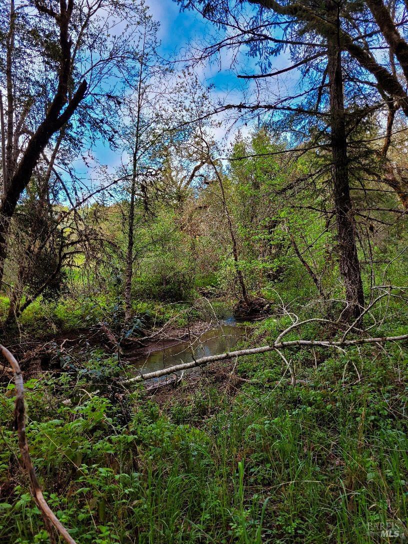 0 Muir Mill Road Willits CA 95490