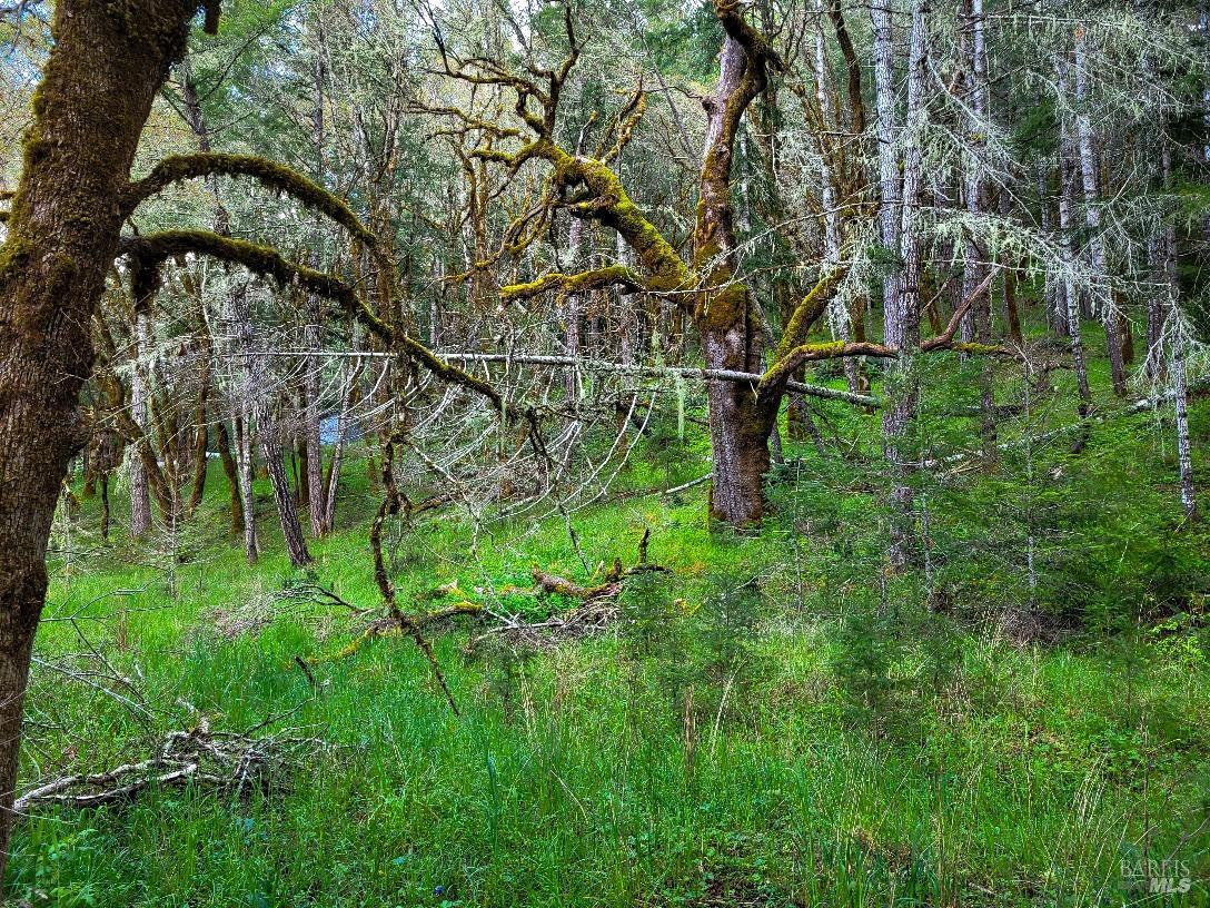 0 Muir Mill Road Willits CA 95490