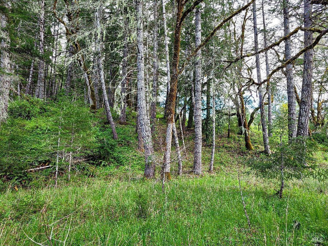 0 Muir Mill Road Willits CA 95490