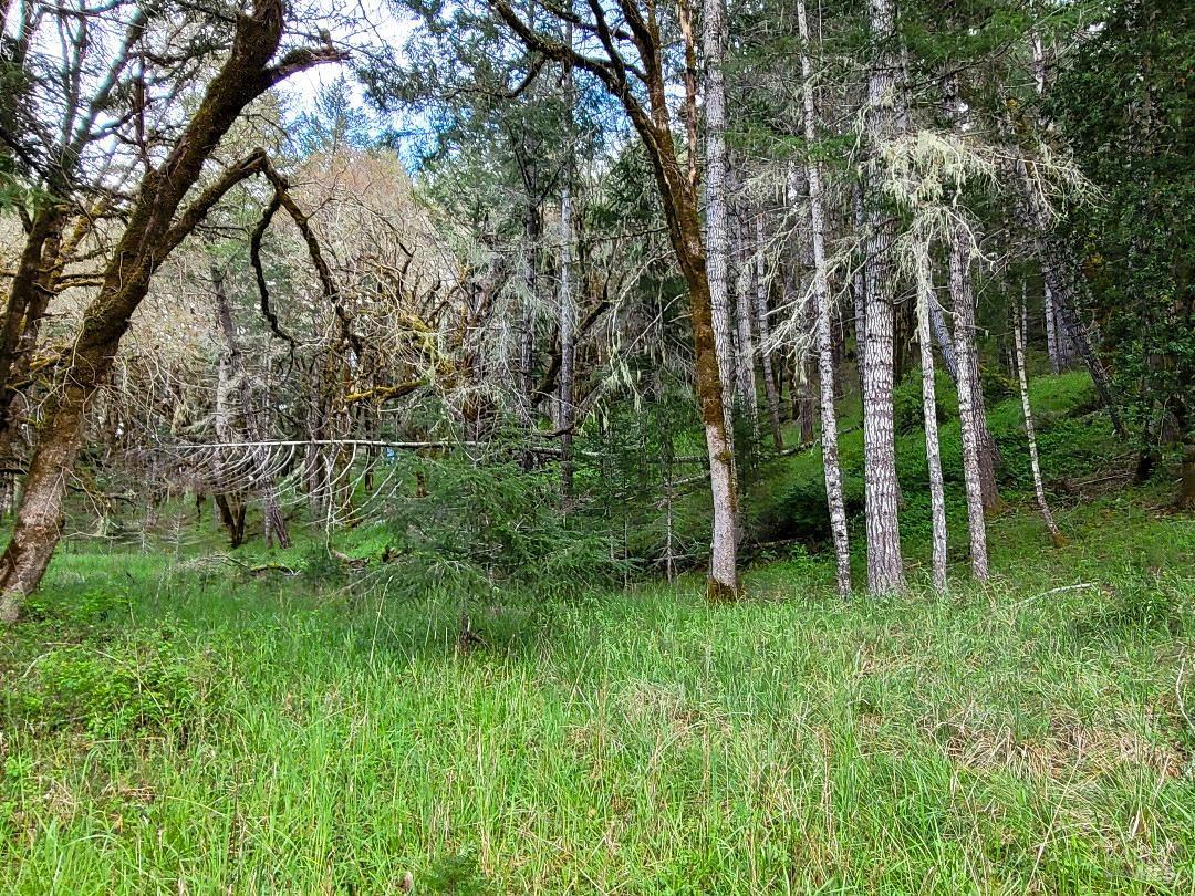 0 Muir Mill Road Willits CA 95490