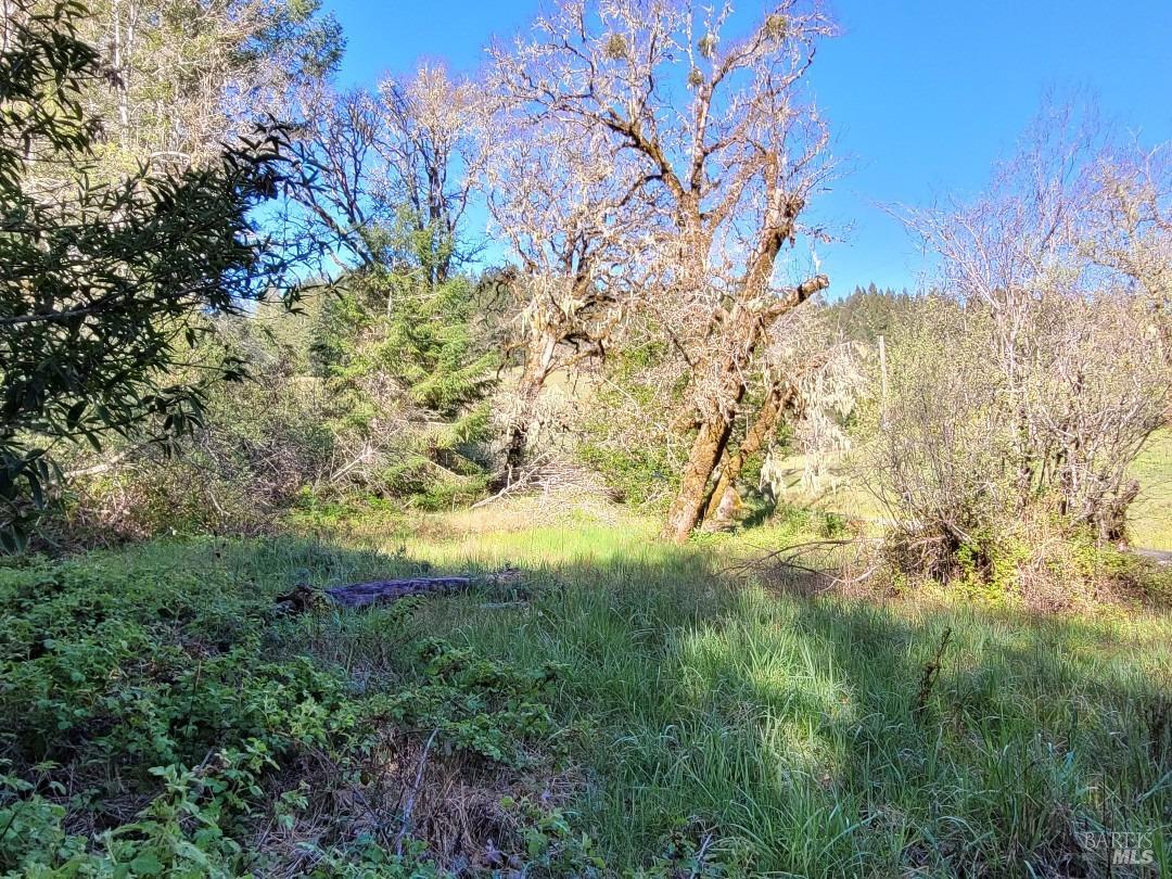 0 Muir Mill Road Willits CA 95490