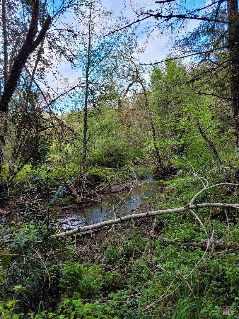 0 Muir Mill Road Willits CA 95490