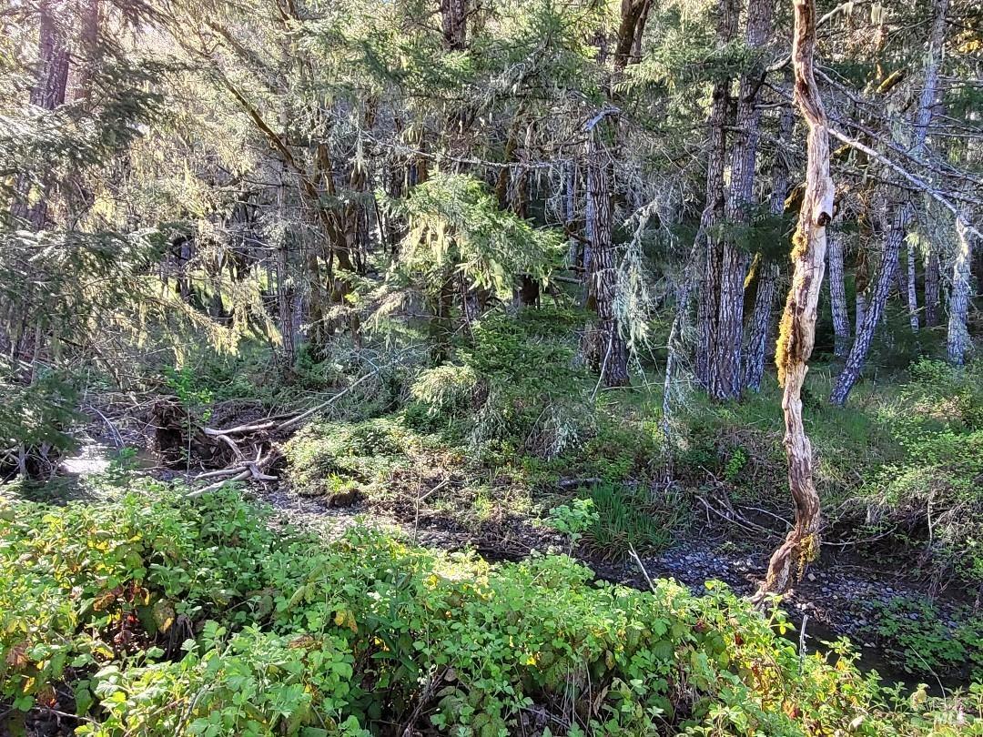 0 Muir Mill Road Willits CA 95490