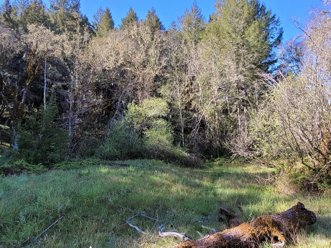 0 Muir Mill Road Willits CA 95490