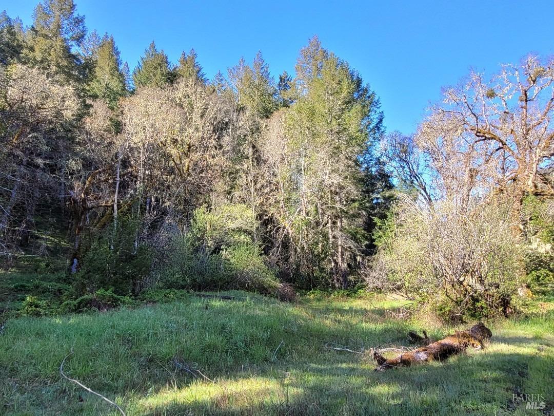 0 Muir Mill Road Willits CA 95490