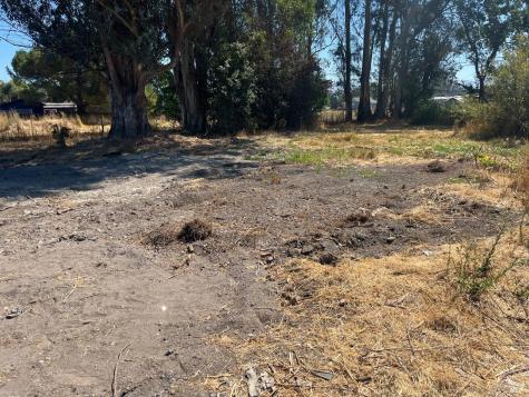 7459 Alder Avenue Cotati CA 94931