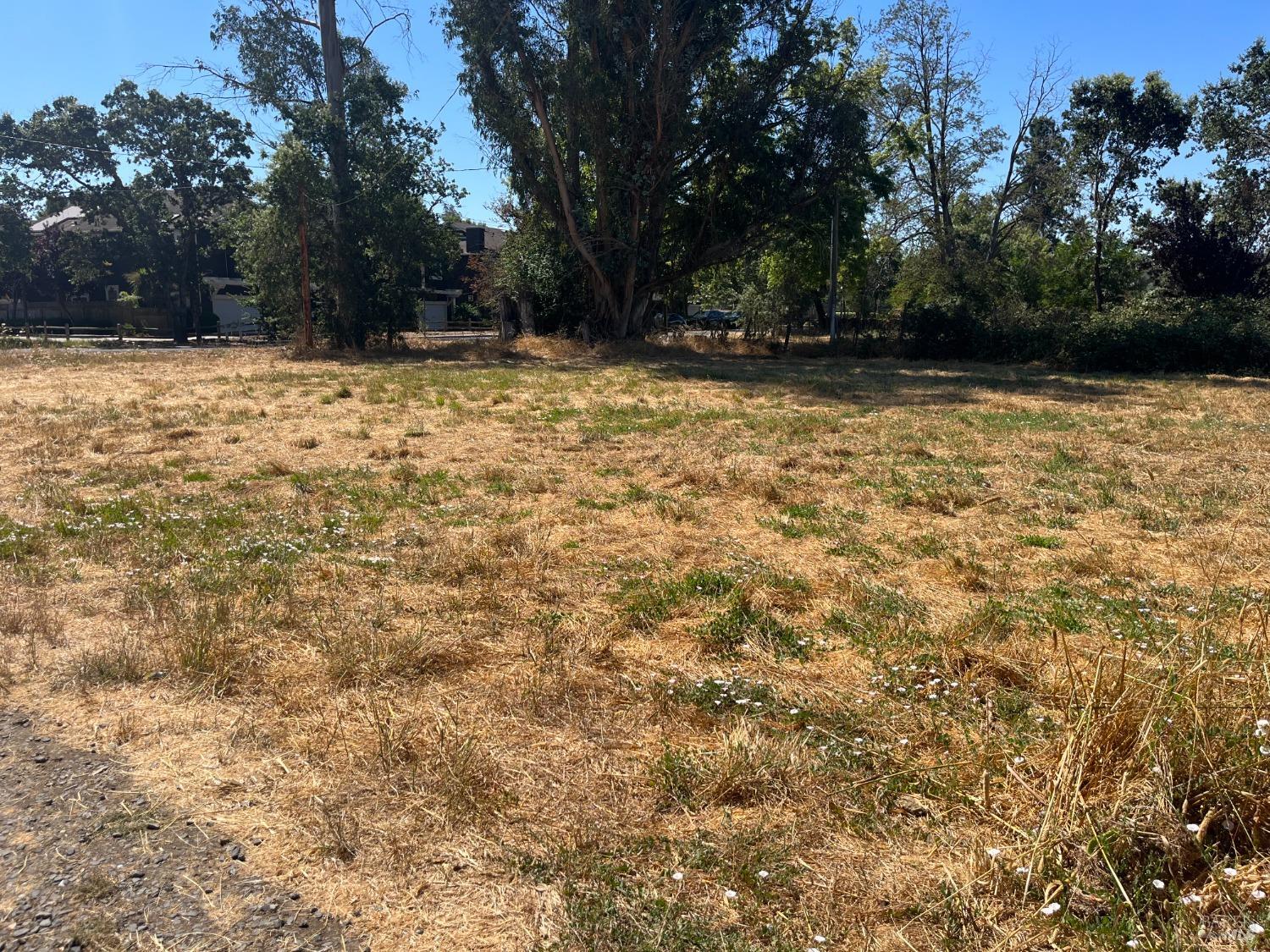 7459 Alder Avenue Cotati CA 94931