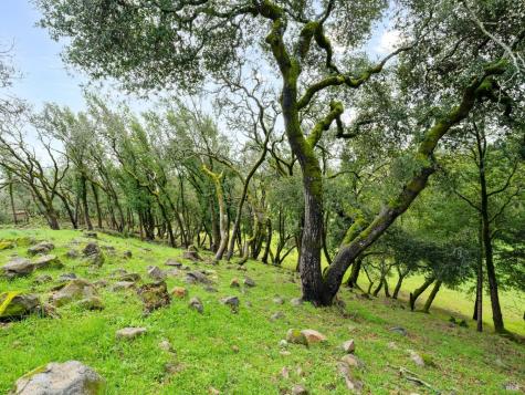 2924 Old Bennett Ridge Road Santa Rosa CA 95404
