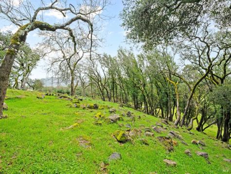 2924 Old Bennett Ridge Road Santa Rosa CA 95404